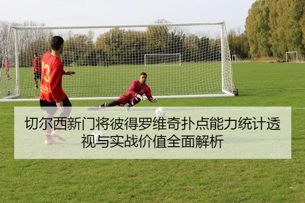 切尔西新门将彼得罗维奇扑点能力统计透视与实战价值全面解析